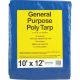 Tarpaulin Blue 10ft X 12ft