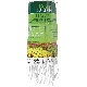 14INX20FTWHT FLOWER BORDER