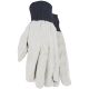 6PK CANVAS GLOVE