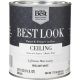 BRLNT WHT CEILING PAINT