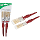 2PC PAINT BRUSHES