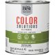 INT S/G NEUTRAL BS PAINT