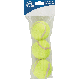 Tennis Ball Dog Toy (3-Pack)