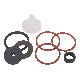 RK-31C 1IN ANTISPH VALVE RPR KIT