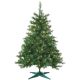 017816029026 2FTP/L COLRAD SPRUCE TREE