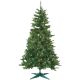 3FTP/L COLRAD SPRUCE TREE