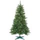 4FTP/L COLRAD SPRUCE TREE