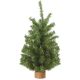 017816035713 15IN CANADIAN PINE TREE