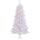 6112-75C 7.5FT WHT ATLC CEDAR TREE