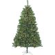 5759-70C 7FT CLR MONTANA PINE TREE