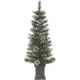 5229-40C 2PC 4FT PTD SPRC TREE SET