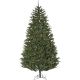 5775-75M 7.5FT NEWEN PINE MLT TREE