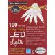 2290-232 100LT LED MINI WW LIGHT