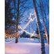 4779-22 400LT SHOOTG STAR LIGHTS