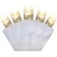 018277652327 100LT M5 LED WW WM WHT