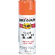 GLS ORANGE SPRAY PAINT