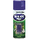 020066228828 NO HUNTING PURPLE SPRAY
