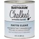 287722 MATTE CLR TOP COAT PAINT