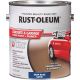 319550 DEEP TINT GAR FLR PAINT