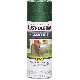 D GRN HAMMRD SPRAY PAINT