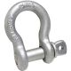 5/8in Anchor Shackle