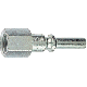1/4INLINC 1/4INFNPT PLUG