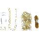 BRASS SWAG LAMP KIT