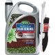 1378104 1G RED COLOR RENEW MULCH