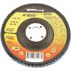032277719934 80G BLUE ZIR FLAP DISC