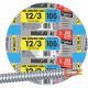 100FT 12/3 STL ARMR CABLE