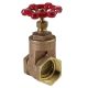2IN T GATE VALVE