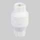 3/4IN PVC CHECK VALVE
