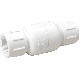 2IN PVC CHECK VALVE