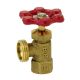 1/2IN FEMALE BOILER DRAIN