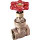 1IN FIP GATE VALVE