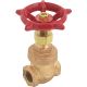 1-1/4IN TH GATE VALVE