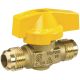 1/2IN FL GAS VALVE