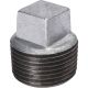 1/4IN GALV PLUG