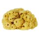 LARGE SEA SPONGE
