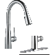 9113-DST 1H CHR KITCHEN FAUCET
