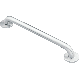 24in Conceal Grab Bar Stainless Steel Finish Moen L8724