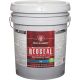 INT FLAT BASE 1 PAINT