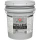 0000Z5551-20 INT S/G DOVER WHT PAINT