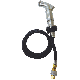 037155892150 CHR REPL SPRAY W/HOSE