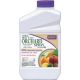 QT CITRUS - FRUIT SPRAY