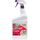 1QT RTU DEADBUG INSECT
