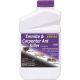 QT ANT/TERMITE KILLER