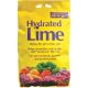 10LB LIME