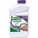 7461 QT KLEENUP 41 CONC