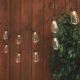2402290 10CT SOLAR EDISON LIGHT